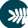 Acacia Church logo