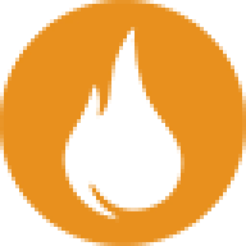 The Igniter Company - Para Church Company Logo