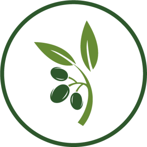 Mt Olive Church of Chicago Logo