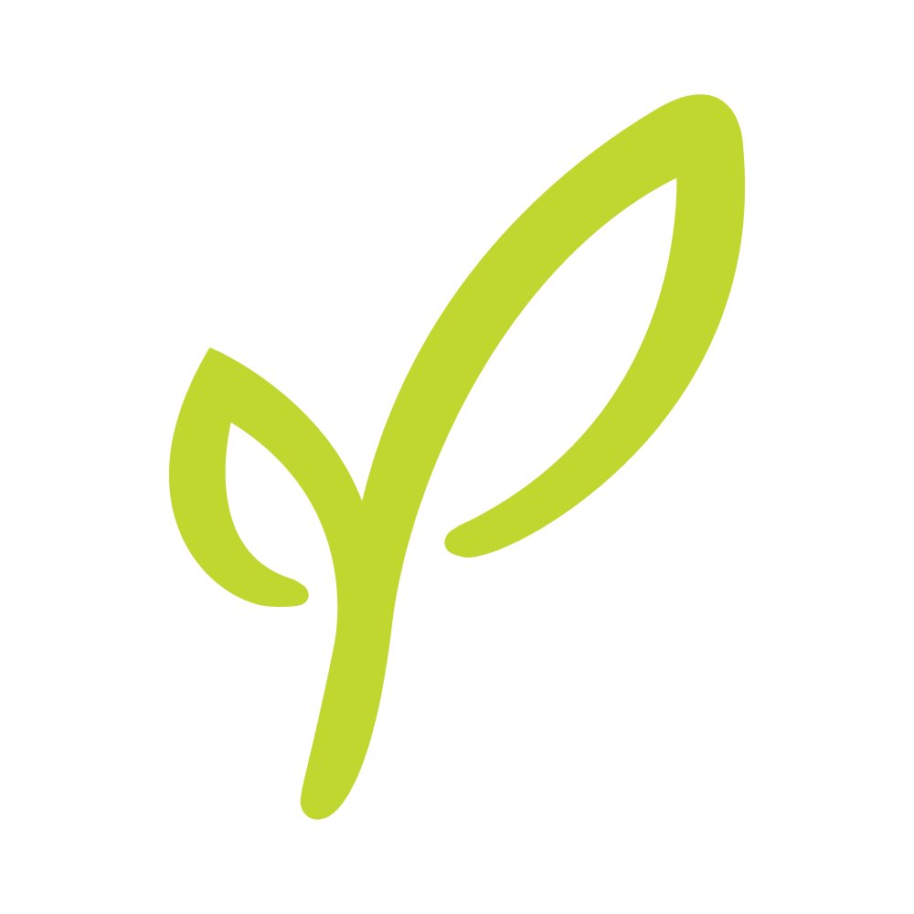 Palmer Home for Children Logo