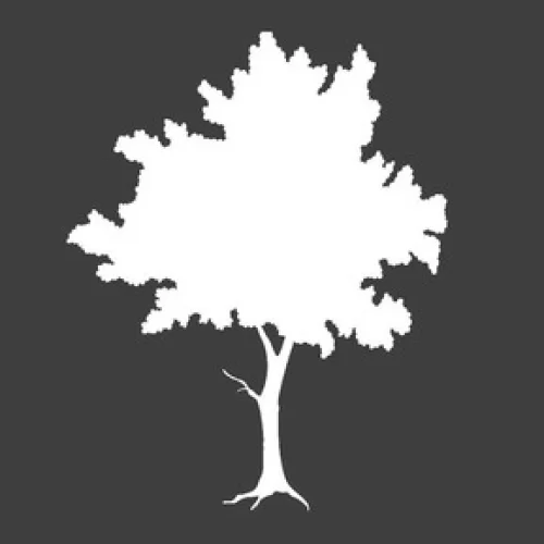 Painesville Assembly of God Logo