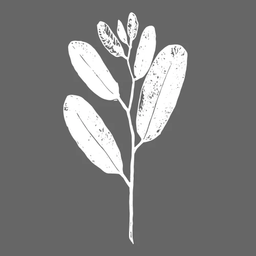 Hope Community Bible Church Logo