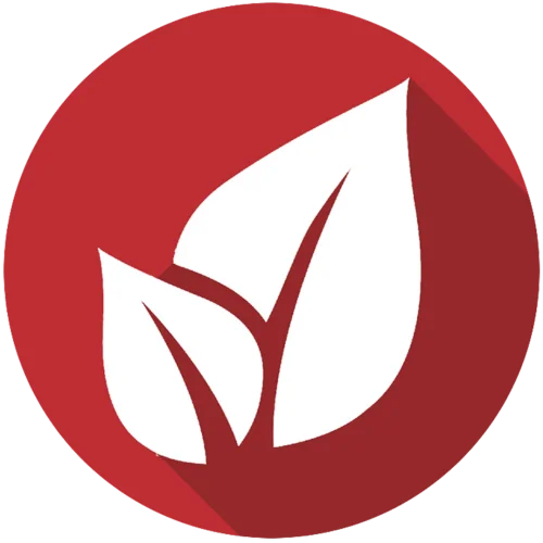 Shady Grove Baptist Church Logo