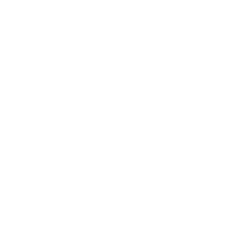 Vox Church Logo