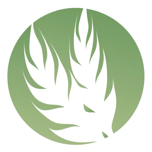 North Platte Berean Church Logo