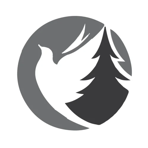 Immanuel Church Logo