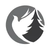 Immanuel Church logo