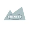 Trinity Church logo