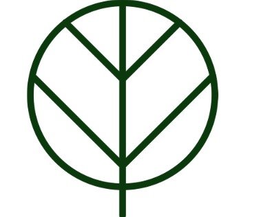 True Life Community Church Logo