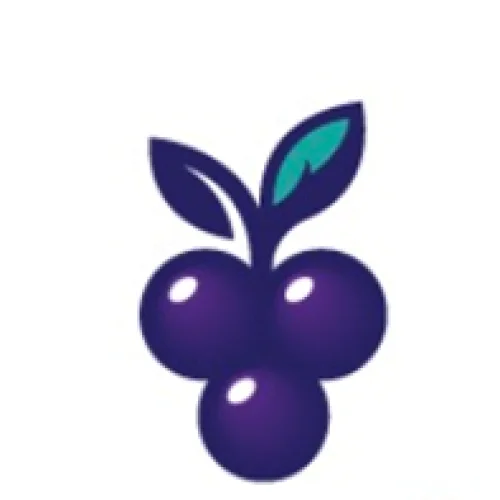 Summerville Baptist Church Logo