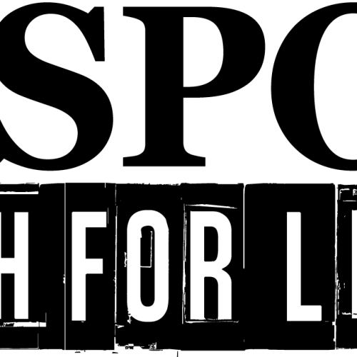 Crosspointe Community Church Logo