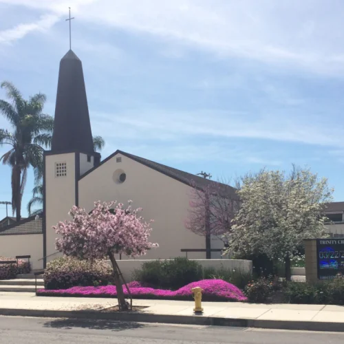 Trinity Reformed Church Logo