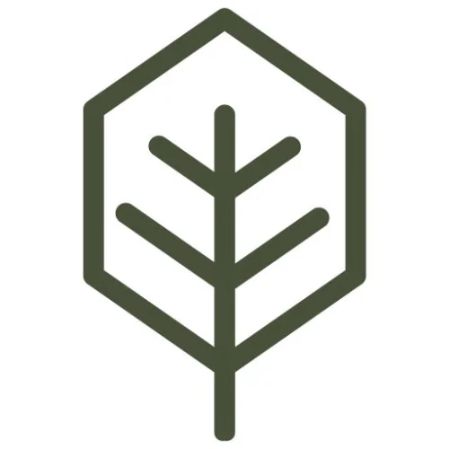 New Life Church Logo