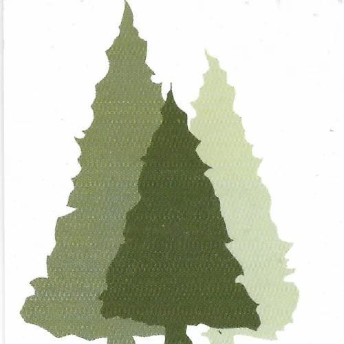 Shoestring Valley Community Church Logo