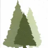 Shoestring Valley Community Church logo