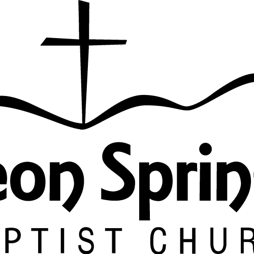 LSBC Logo