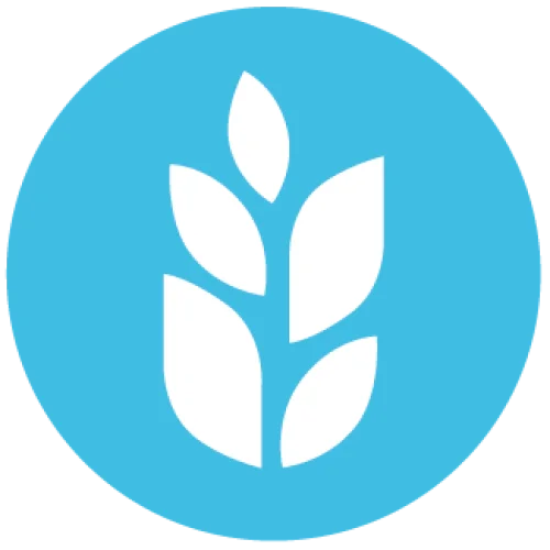 Storehouse Church Logo