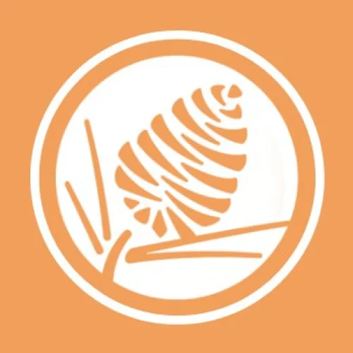 Pine Terrace Baptist Church Logo