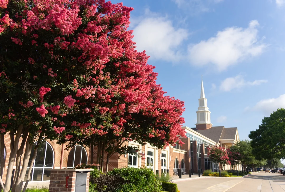 Church photo 1